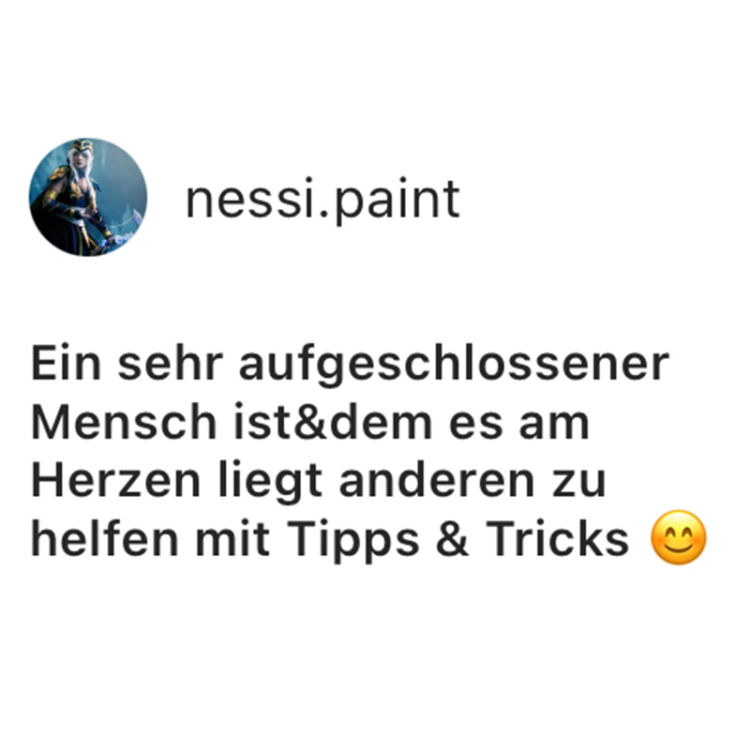 feedback_nessipaint